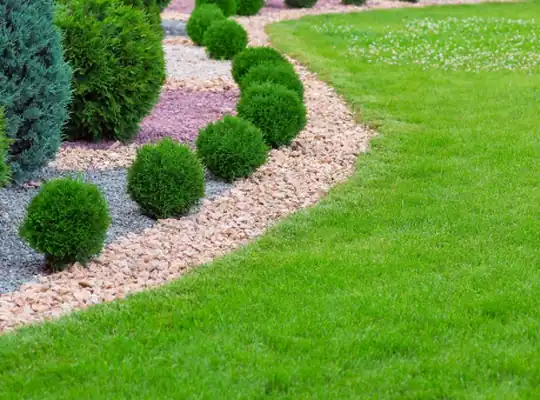 Landscaping Services